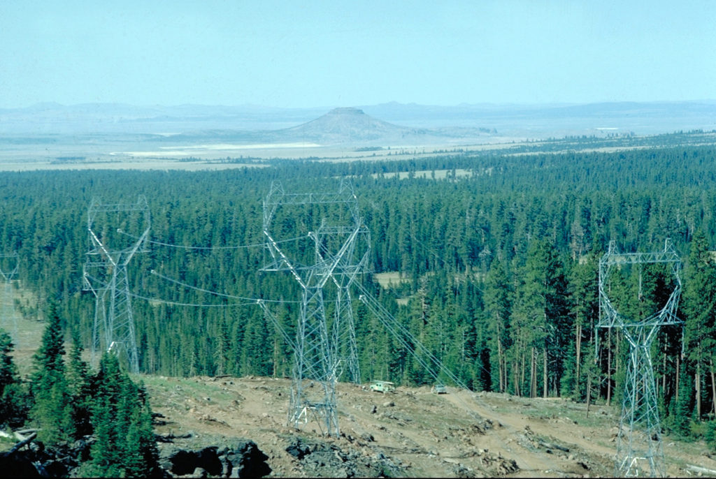 High-voltage power lines in a forest.